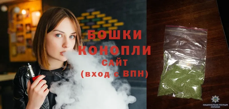 Бошки марихуана OG Kush  Беломорск 